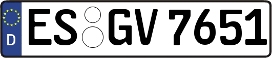 ES-GV7651