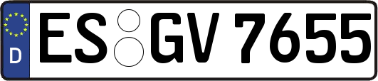 ES-GV7655