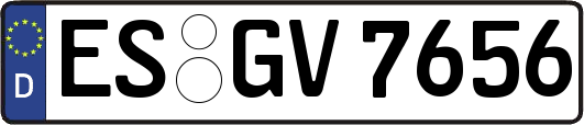 ES-GV7656