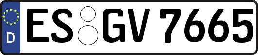 ES-GV7665
