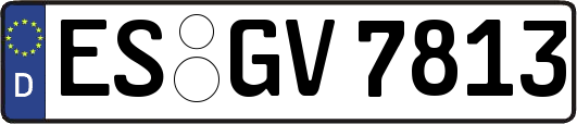 ES-GV7813