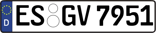 ES-GV7951