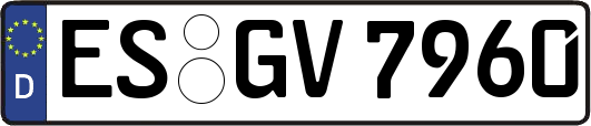 ES-GV7960
