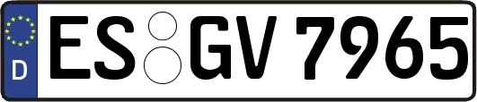 ES-GV7965