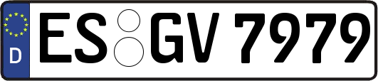 ES-GV7979