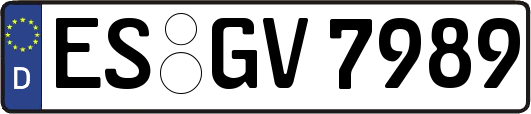 ES-GV7989