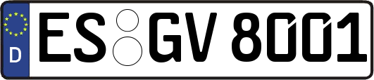ES-GV8001