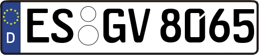 ES-GV8065