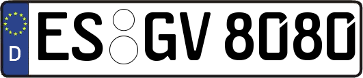 ES-GV8080