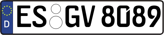 ES-GV8089