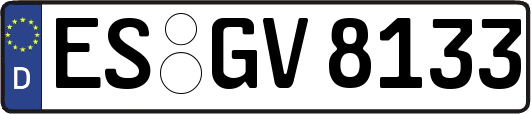 ES-GV8133