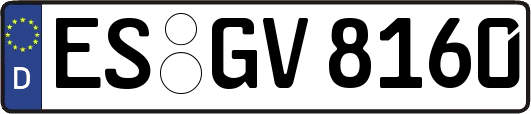 ES-GV8160