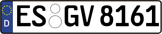 ES-GV8161