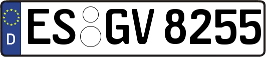 ES-GV8255