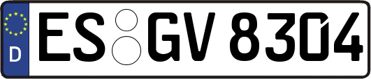 ES-GV8304