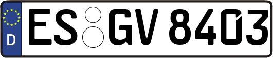 ES-GV8403