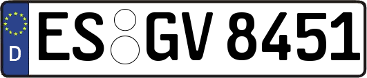 ES-GV8451