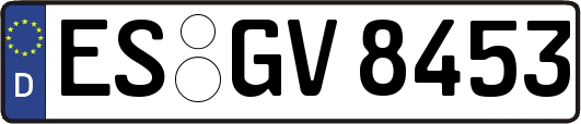 ES-GV8453