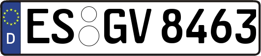 ES-GV8463