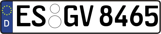 ES-GV8465