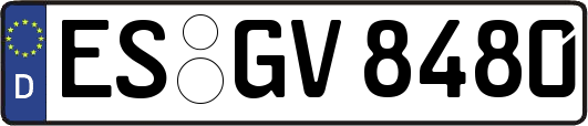 ES-GV8480