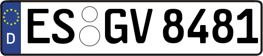 ES-GV8481