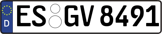 ES-GV8491