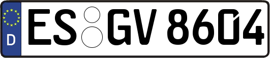 ES-GV8604