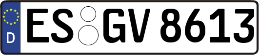 ES-GV8613