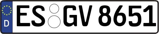 ES-GV8651