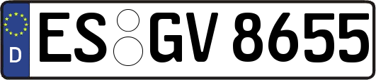 ES-GV8655