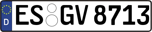ES-GV8713