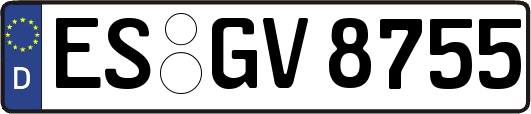 ES-GV8755