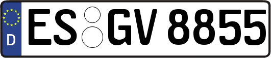 ES-GV8855
