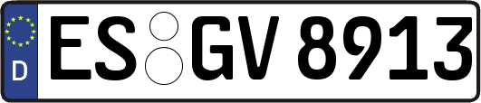 ES-GV8913