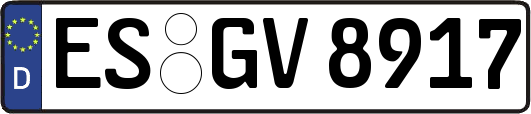ES-GV8917