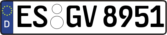 ES-GV8951