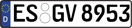 ES-GV8953