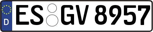 ES-GV8957