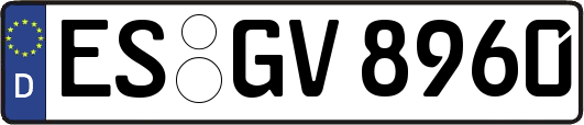 ES-GV8960