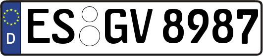 ES-GV8987