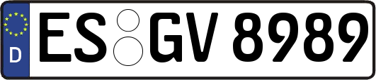 ES-GV8989