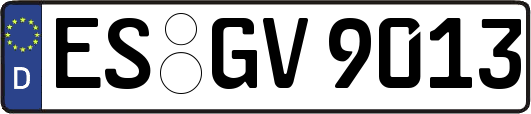 ES-GV9013