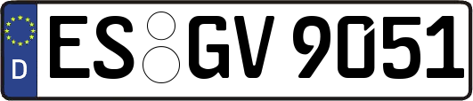 ES-GV9051