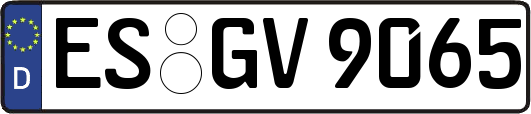 ES-GV9065