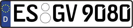 ES-GV9080