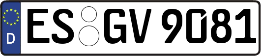 ES-GV9081
