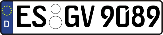 ES-GV9089