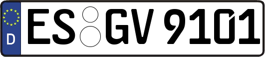 ES-GV9101
