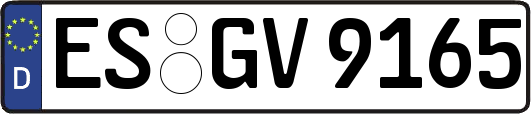 ES-GV9165